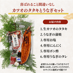 [Gift Set] Seared Bonito (Katsuo no Tataki), 1-2 fillets + Eel from Kochi Prefecture, 1-2 fish