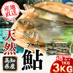 高知県産 天然アユ 産地直送 1kg〜3kg サイズが選べる
