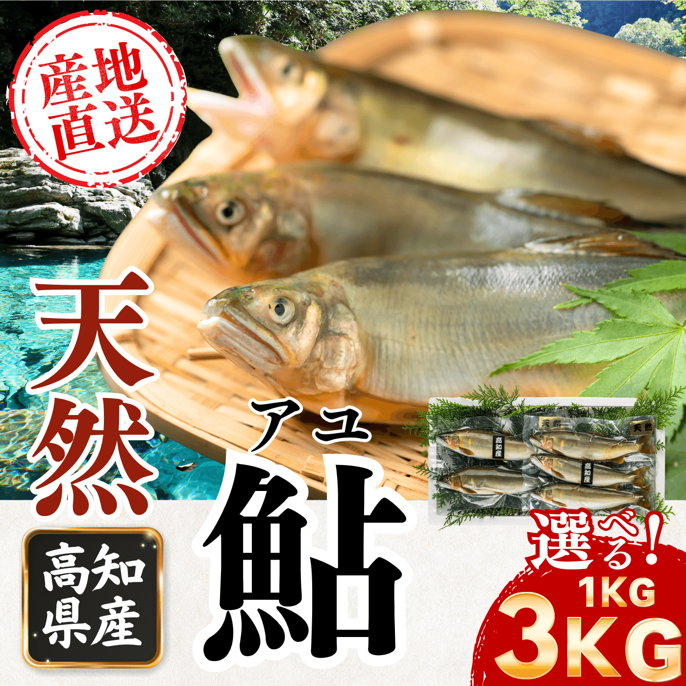 高知県産 天然アユ 産地直送 1kg〜3kg サイズが選べる