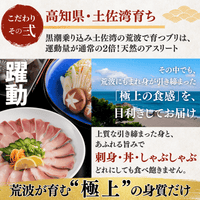 Yellowtail Sashimi Block - 300g