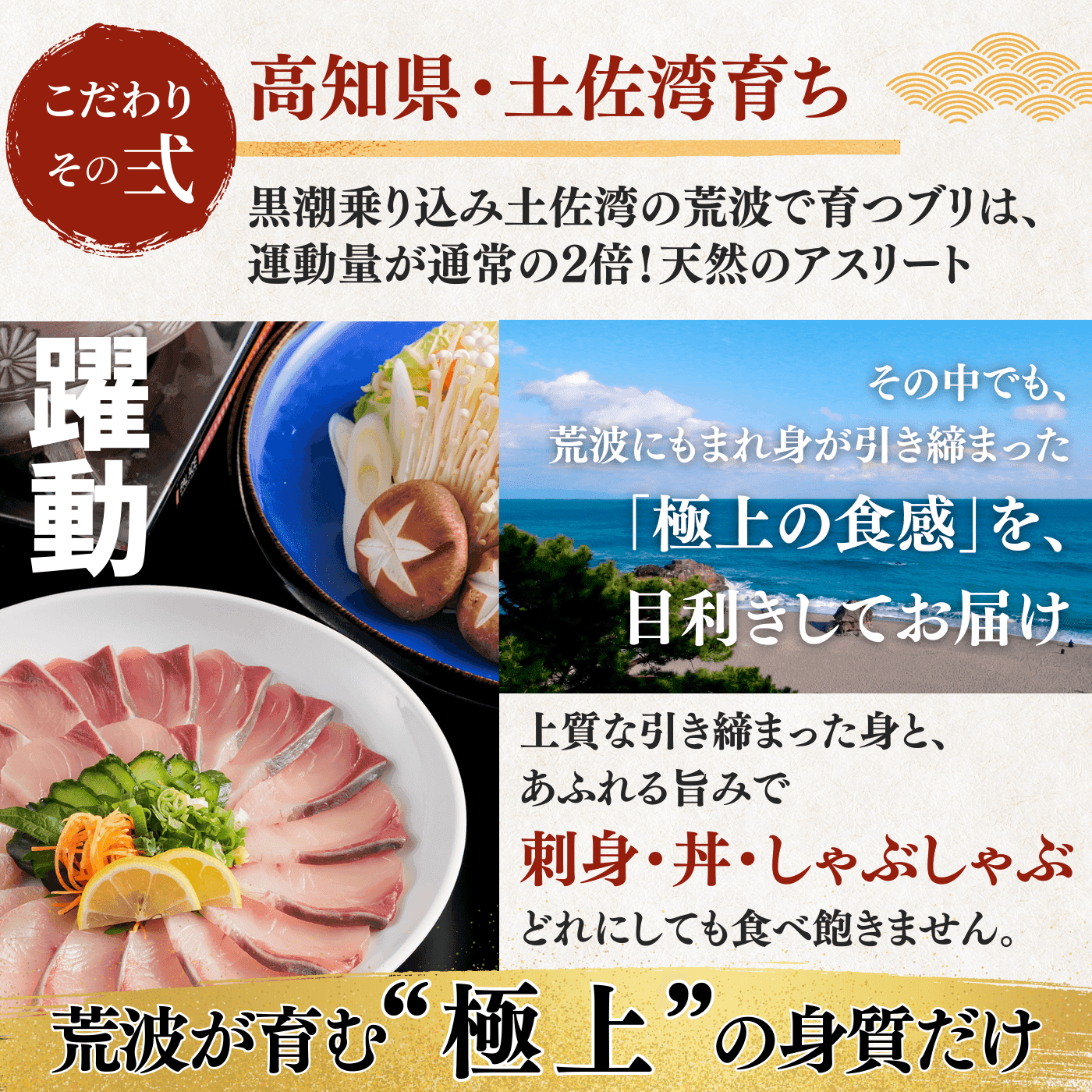 Yellowtail Sashimi Block - 300g