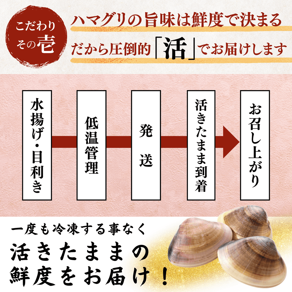 【活き】ハマグリ　＜1枚：40g程＞