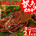 訳あり 冷凍 伊勢海老 ＜匹数：1~3尾　量：300g〜2100g　目安：1~4.5人前＞