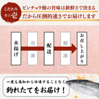 Striped Jack Sashimi ＜1 block, Net Wt. 150g＞