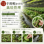 国産 本わさび ＜本数：1~3本　量：40~120g＞