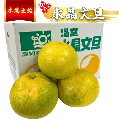 【訳アリ】水晶文旦 ＜量：5kg or 10kg＞