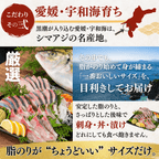 Striped Jack Sashimi ＜1 block, Net Wt. 150g＞