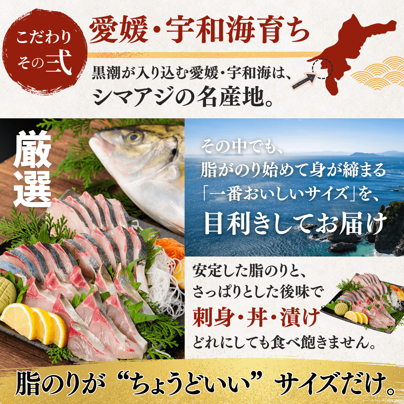 Striped Jack Sashimi ＜1 block, Net Wt. 150g＞