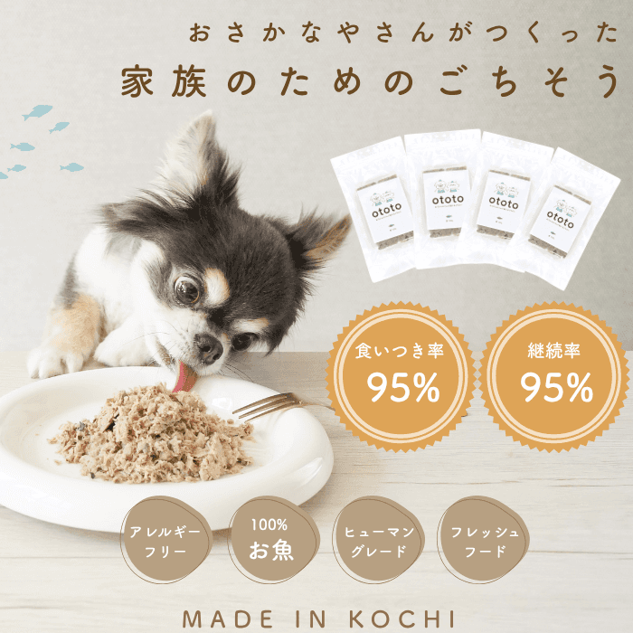 ototo: An additive-free pet food for dogs and cats, passionately created by a second-generation fishmonger.