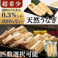 天然うなぎ 白焼き ＜匹数：1~3尾　量：110~480g＞