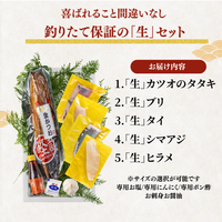 【お刺身セット5種】生カツオのタタキ(1節 or 半節)+ブリ/タイ/シマアジ/ヒラメ(各柵150g)