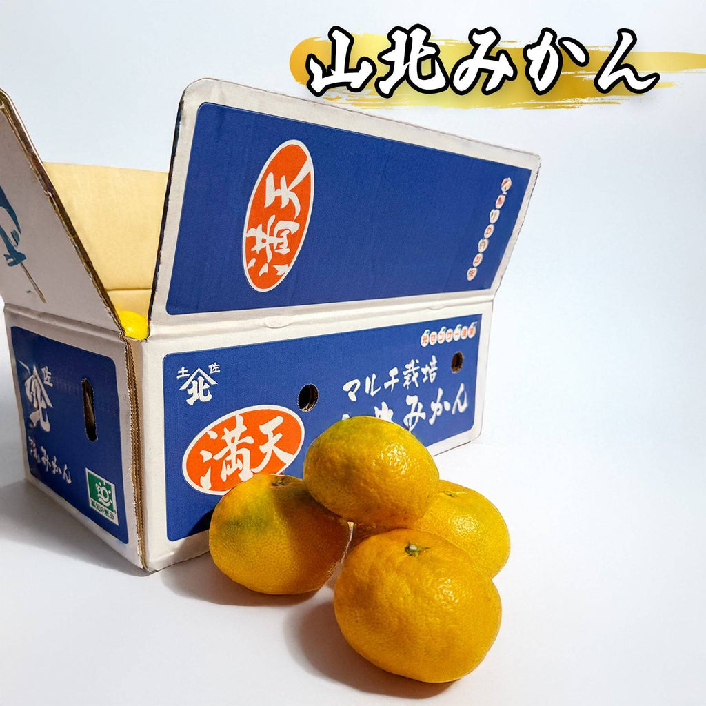 山北みかん 箱と果実