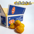山北みかん 箱と果実