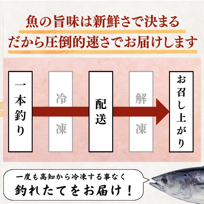 Striped Jack Sashimi ＜1 block, Net Wt. 150g＞