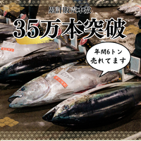 Striped Jack Sashimi ＜1 block, Net Wt. 150g＞