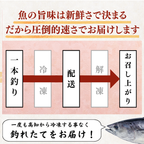 【お刺身セット2種】生カツオのタタキ(1節 or 半節)+ブリ柵(150g)