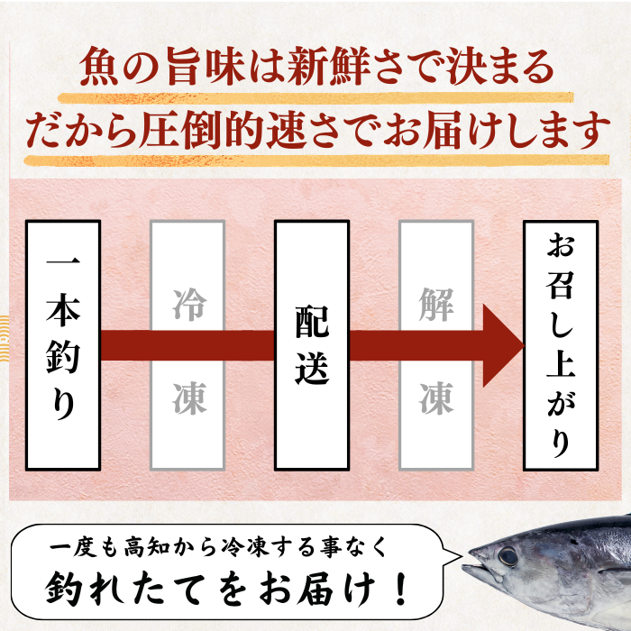 【お刺身セット2種】生カツオのタタキ(1節 or 半節)+ブリ柵(150g)