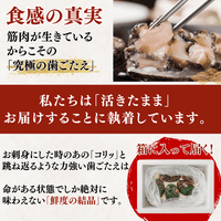 【BBQセット/貝づくし】ハマグリ/サザエ/あわび