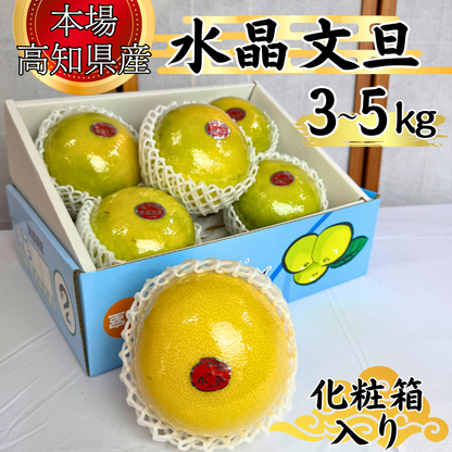 水晶文旦　化粧箱入り ＜サイズ：小3㎏ or 大5㎏＞