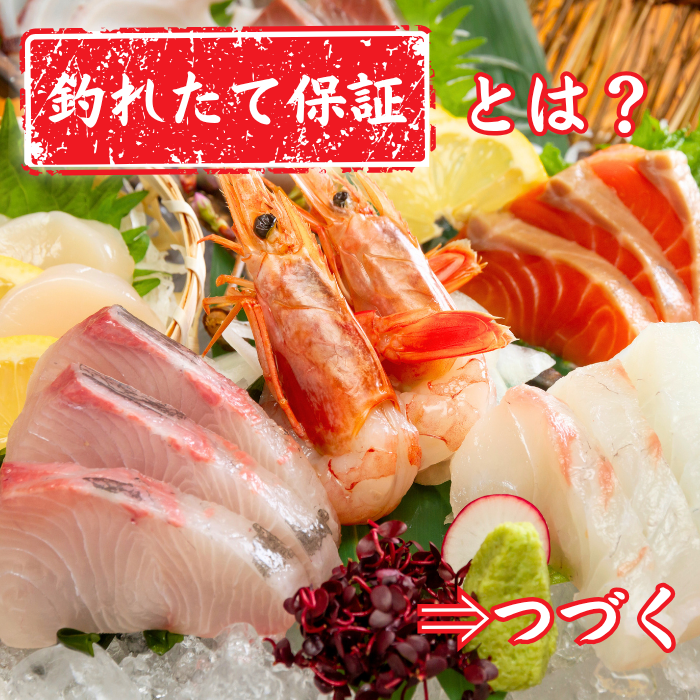 【お刺身セット5種】生カツオのタタキ(1節 or 半節)+ブリ/タイ/シマアジ/ヒラメ(各柵150g)