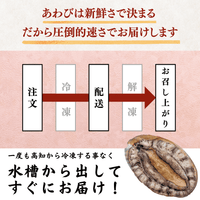 【Processed】Skinless, Desalted Herring Roe <Quantity: 500g-1kg>