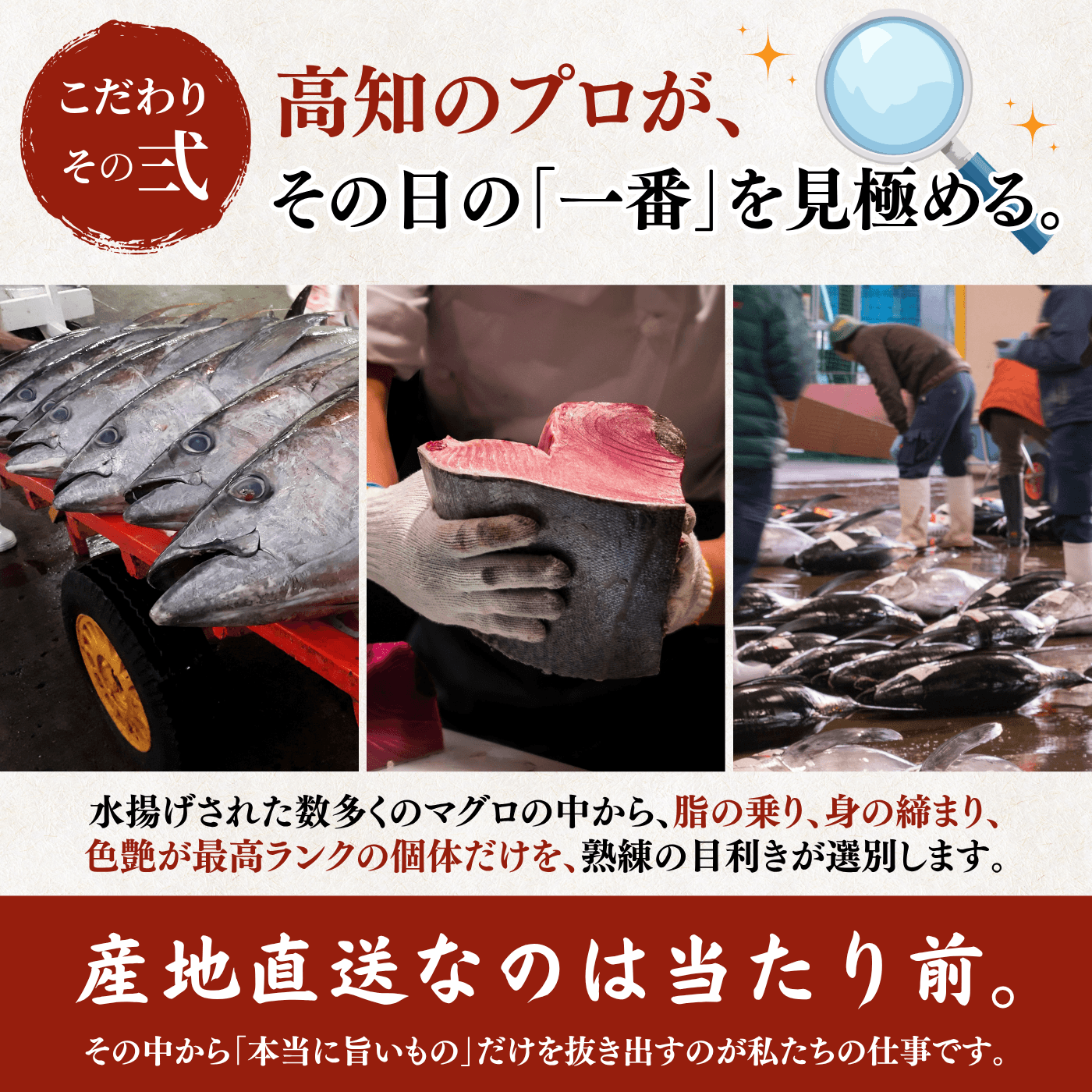 Striped Jack Sashimi ＜1 block, Net Wt. 150g＞