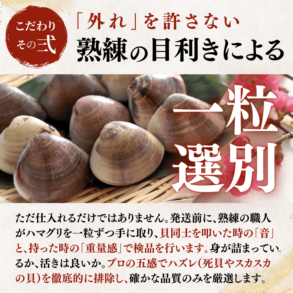 【活き】ハマグリ　＜1枚：40g程＞