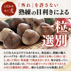 【活き】ハマグリ　＜1枚：40g程＞