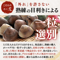 【活き】ハマグリ　＜1枚：40g程＞