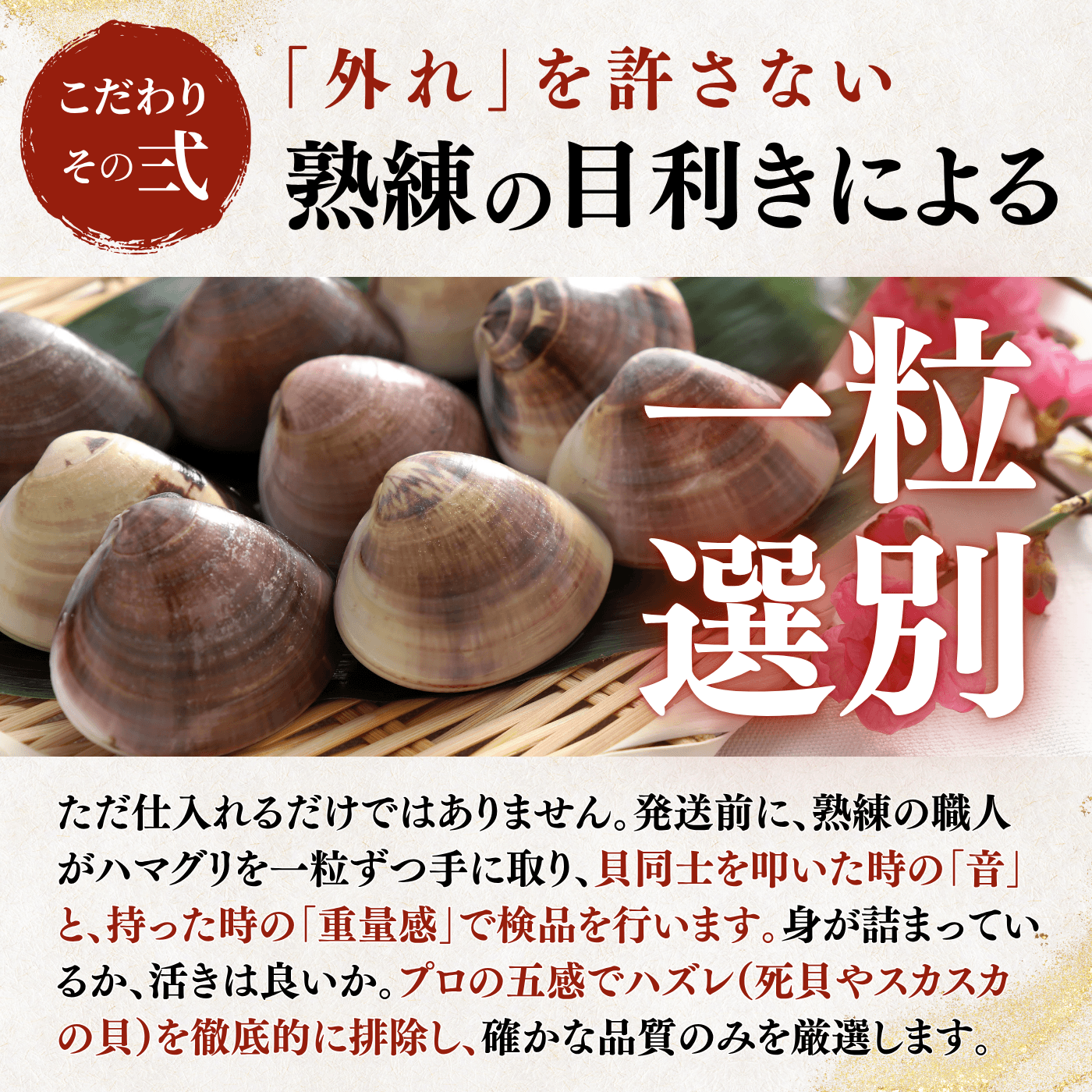 【活き】ハマグリ　＜1枚：40g程＞