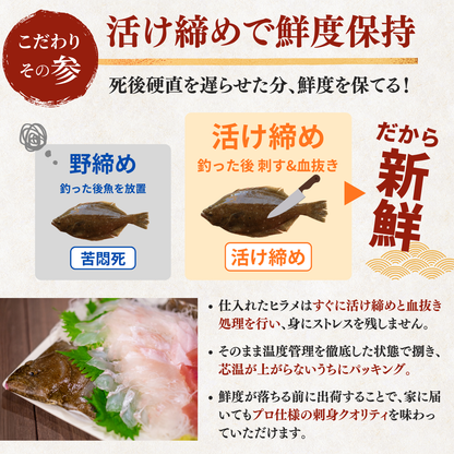 ヒラメ お刺身＋えんがわ＜一柵　量：170g＞