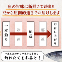 【お刺身セット3種】生カツオのタタキ(1節 or 半節)+ブリ/タイ(各柵150g)