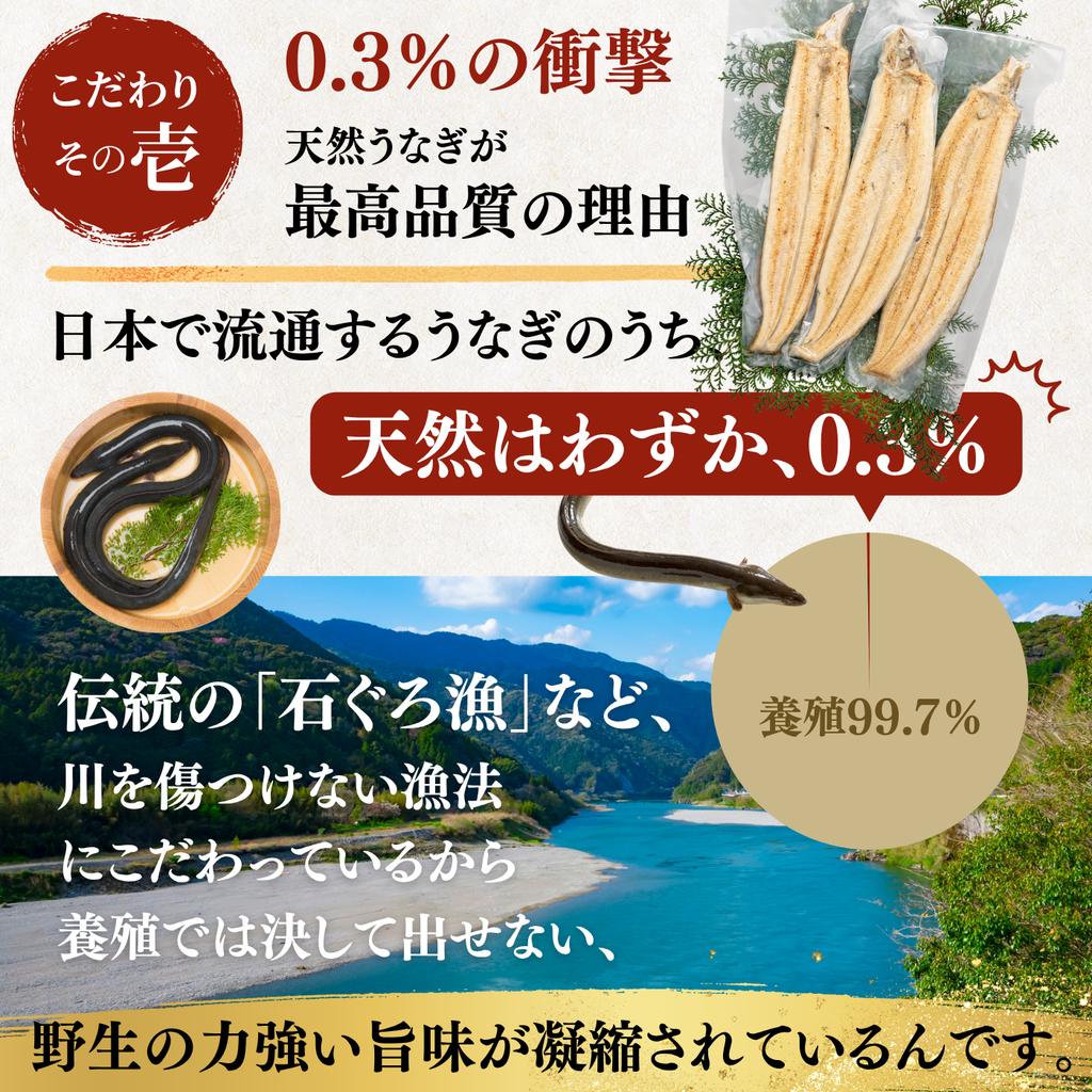 天然うなぎ 白焼き ＜匹数：1~3尾　量：110~480g＞