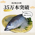 Straw-Seared Bonito Tataki -Frozen- (Imperfect) <Quantity: 1kg-5kg, Approx. 2-14 Fillets>