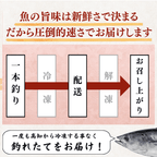 【お刺身セット5種】生カツオのタタキ(1節 or 半節)+ビンチョウマグロ/ブリ/タイ/シマアジ(各柵150g)