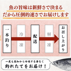 【お刺身セット2種】生カツオのタタキ(1節 or 半節)+ビンチョウマグロ柵(150g)
