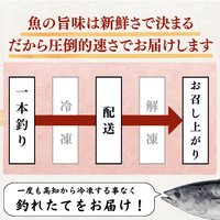 【お刺身セット2種】生カツオのタタキ(1節 or 半節)+ビンチョウマグロ柵(150g)