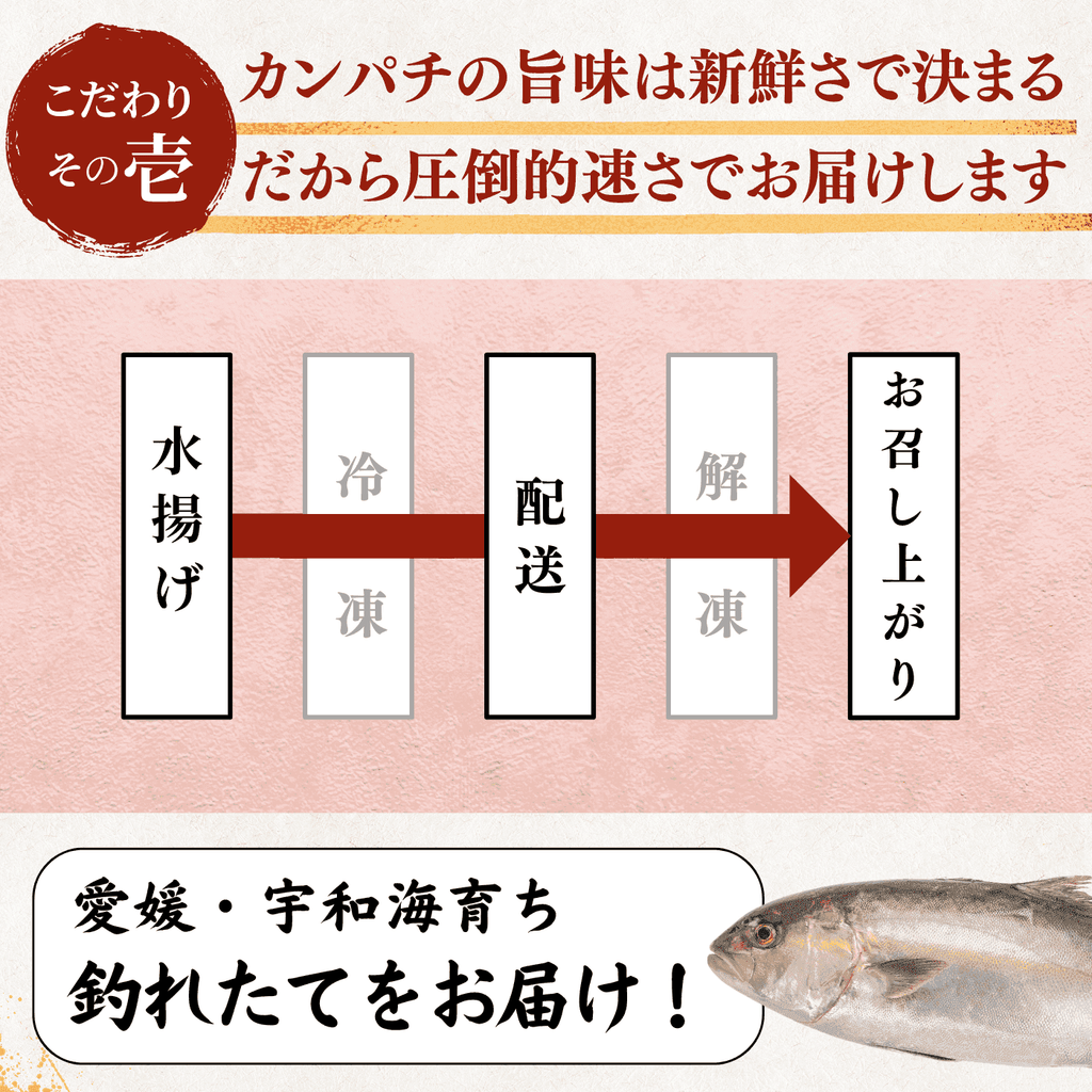 Greater Amberjack Sashimi Block: 300g