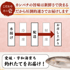 Greater Amberjack Sashimi Block: 300g