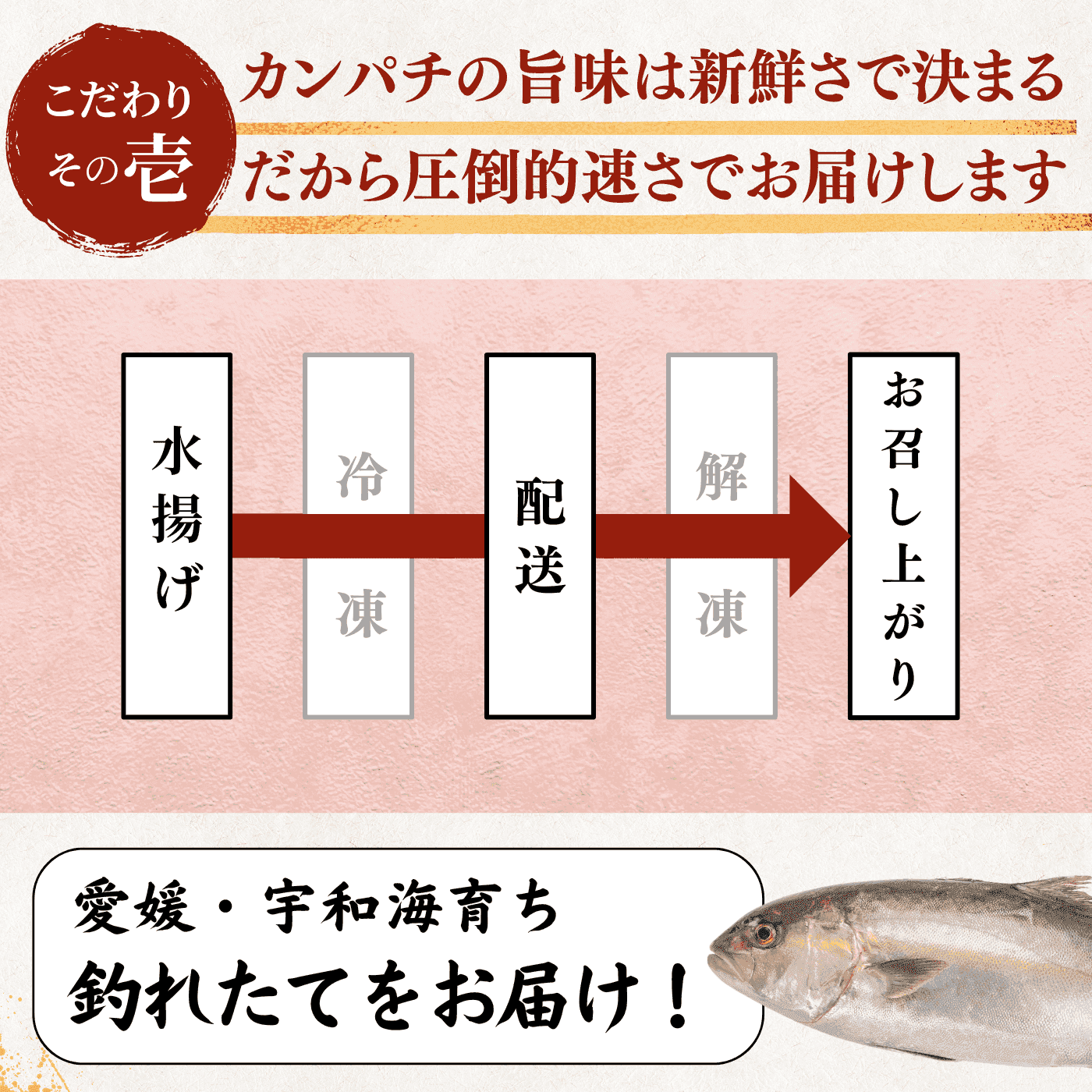 Greater Amberjack Sashimi Block: 300g