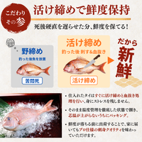 Red Sea Bream Sashimi <1 block, 130g>