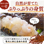伊勢海老 ぷりっぷりの身質 刺身