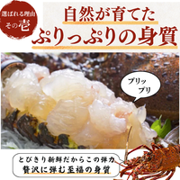 伊勢海老 ぷりっぷりの身質 刺身
