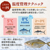 Striped Jack Sashimi ＜1 block, Net Wt. 150g＞
