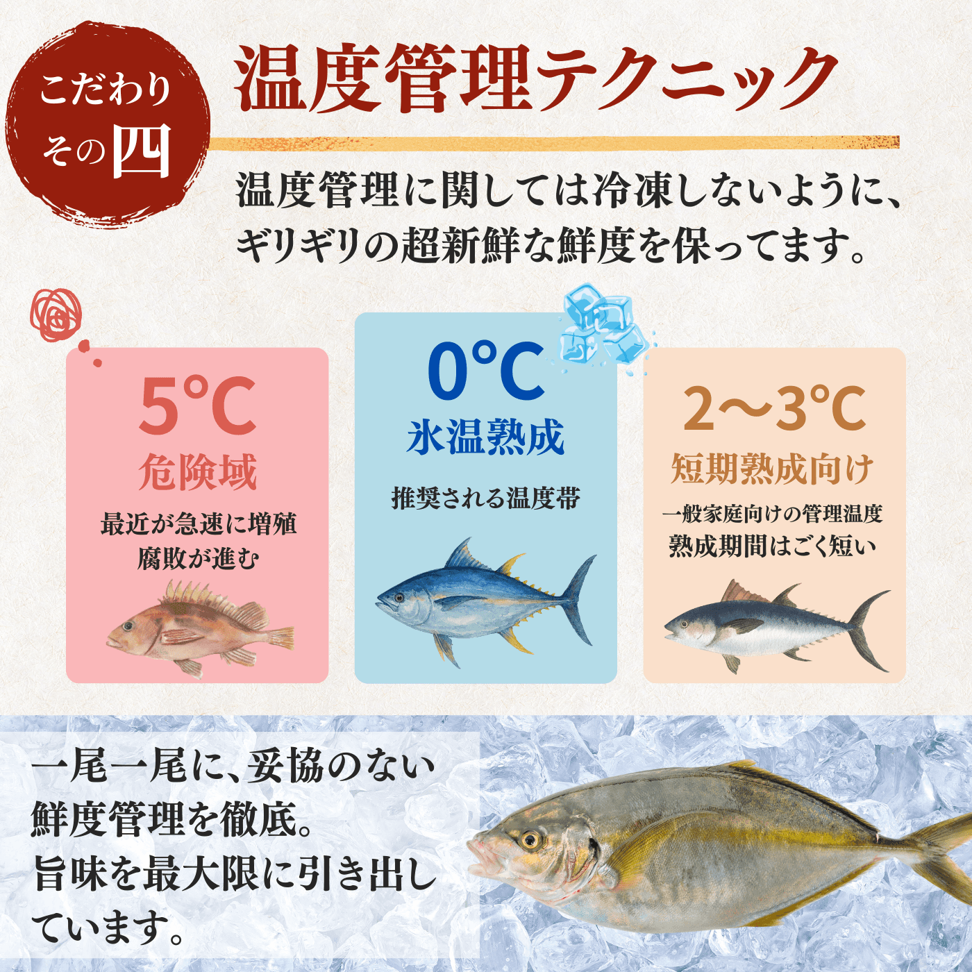 Striped Jack Sashimi ＜1 block, Net Wt. 150g＞