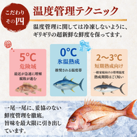 Red Sea Bream Sashimi <1 block, 130g>