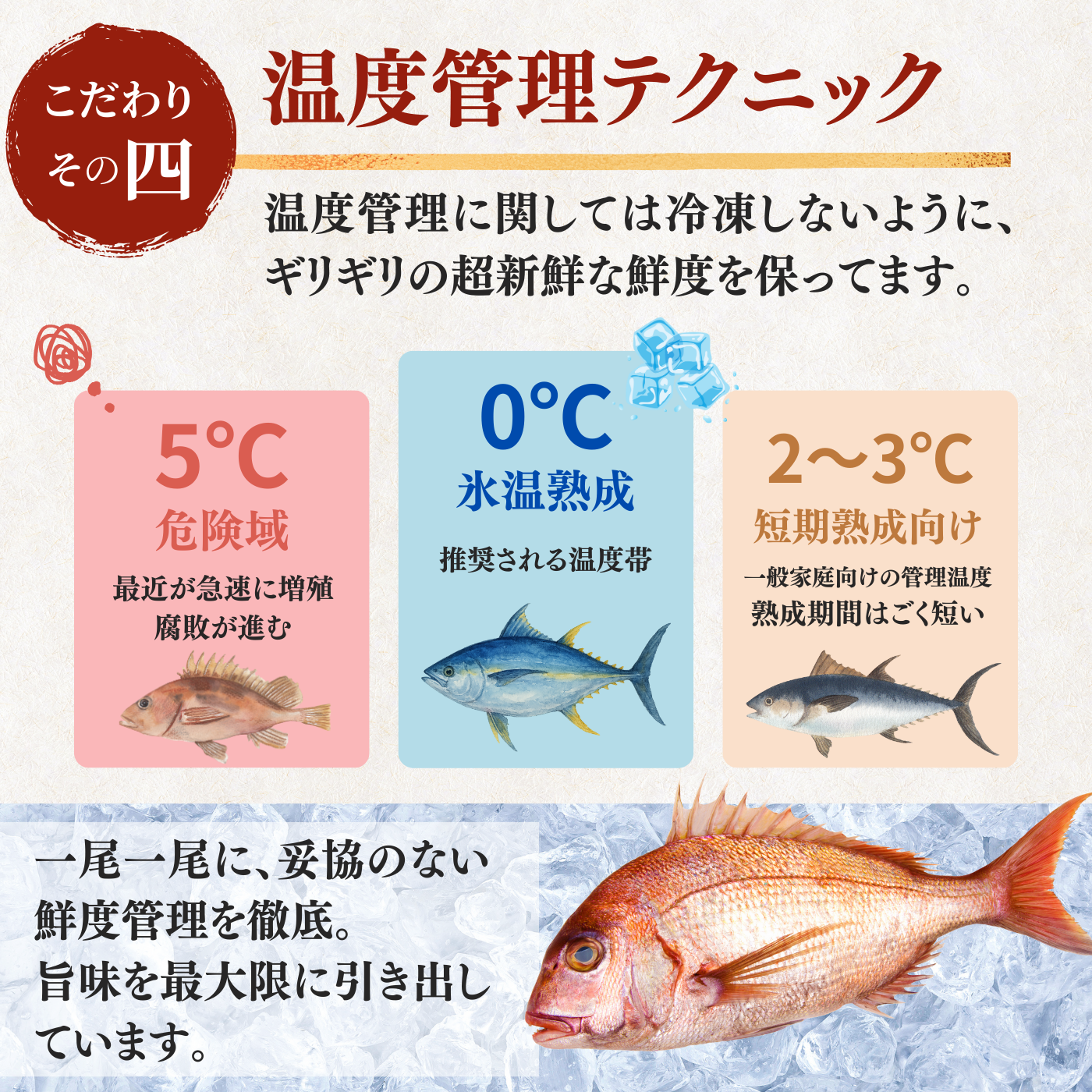 Red Sea Bream Sashimi <1 block, 130g>