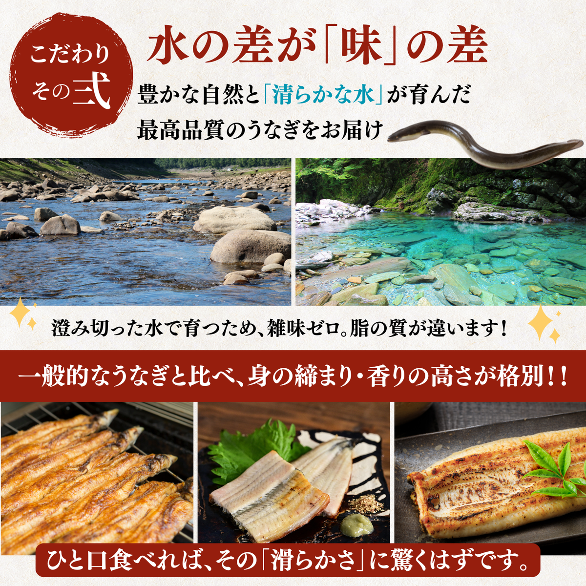 天然うなぎ 白焼き ＜匹数：1~3尾　量：110~480g＞