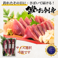 Fresh Bonito Sashimi (Number of pieces: 1-3, Weight: 500-1500g, Serves: 2-9 people)