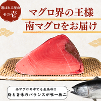 Striped Jack Sashimi ＜1 block, Net Wt. 150g＞
